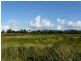 384 Mena Creek Road, Mena Creek QLD 4871
