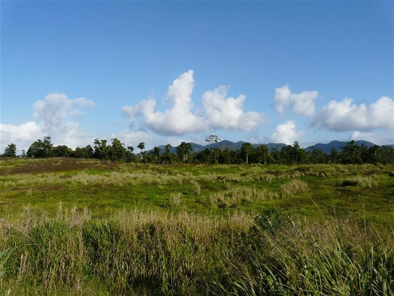 384 Mena Creek Road, Mena Creek QLD 4871
