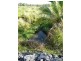 384 Mena Creek Road, Mena Creek QLD 4871