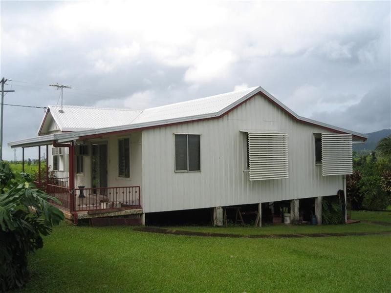 307 No. 6 Branch Road, South Johnstone QLD 4859