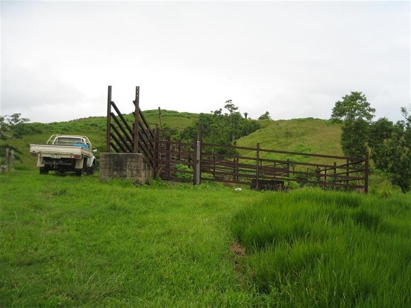 307 No. 6 Branch Road, South Johnstone QLD 4859