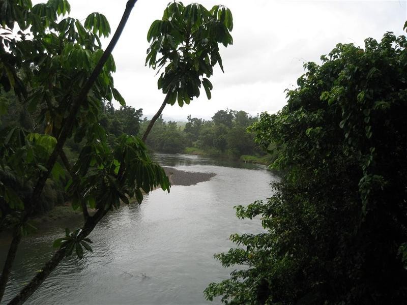 307 No. 6 Branch Road, South Johnstone QLD 4859