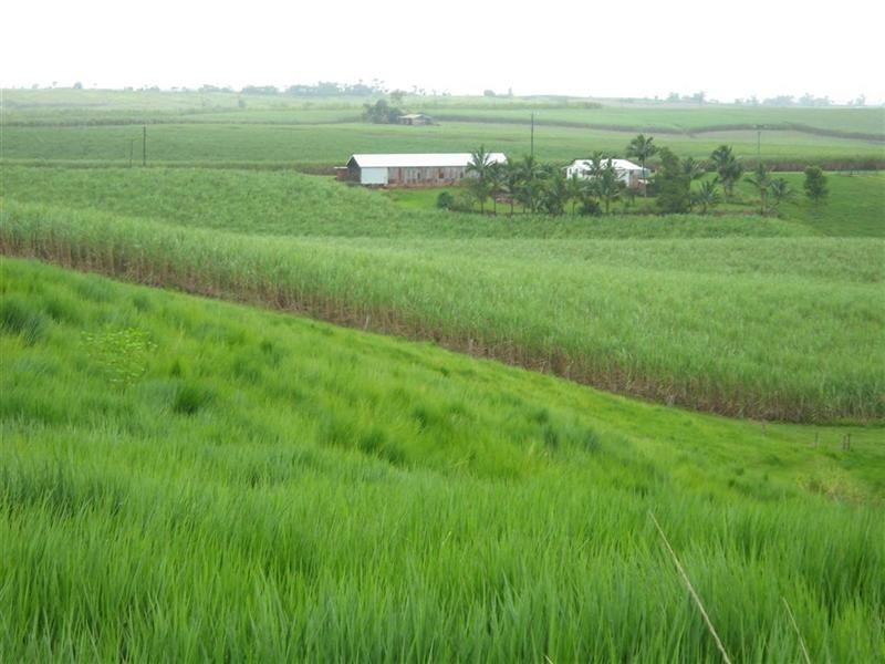 307 No. 6 Branch Road, South Johnstone QLD 4859