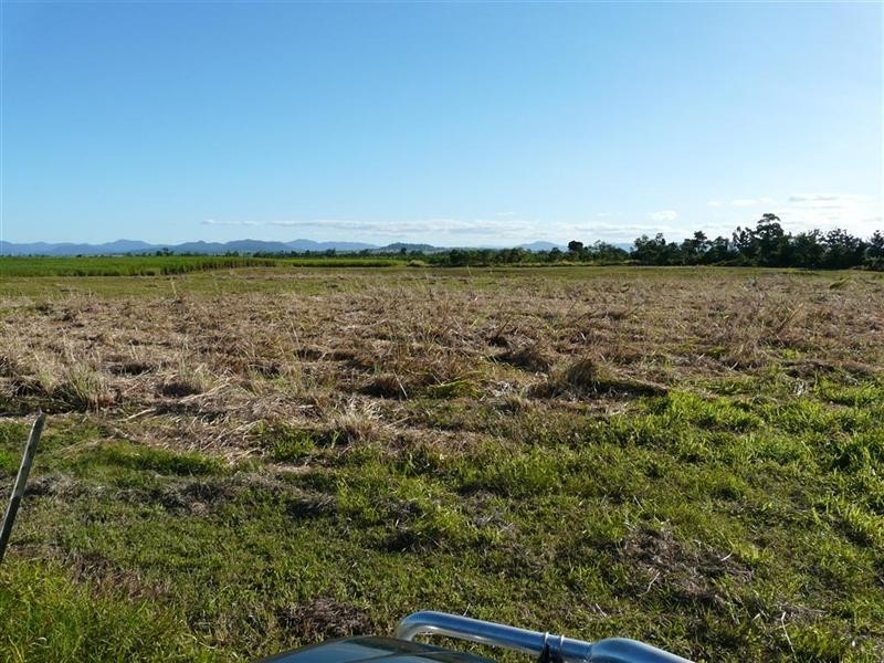 Lot 902 Scullen Avenue, Innisfail QLD 4860