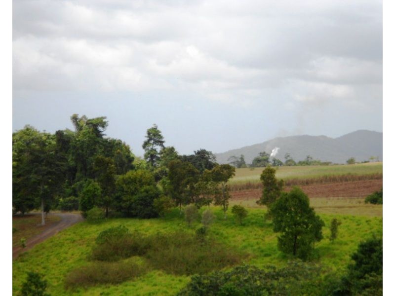 11 LEIGH Close, Pin Gin Hill QLD 4860