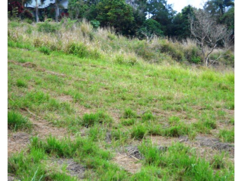 11 LEIGH Close, Pin Gin Hill QLD 4860