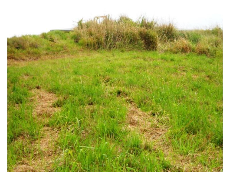 11 LEIGH Close, Pin Gin Hill QLD 4860