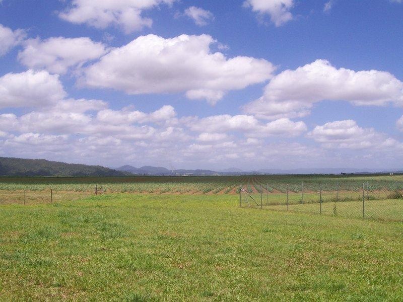 64 Martyville Road, Martyville QLD 4858