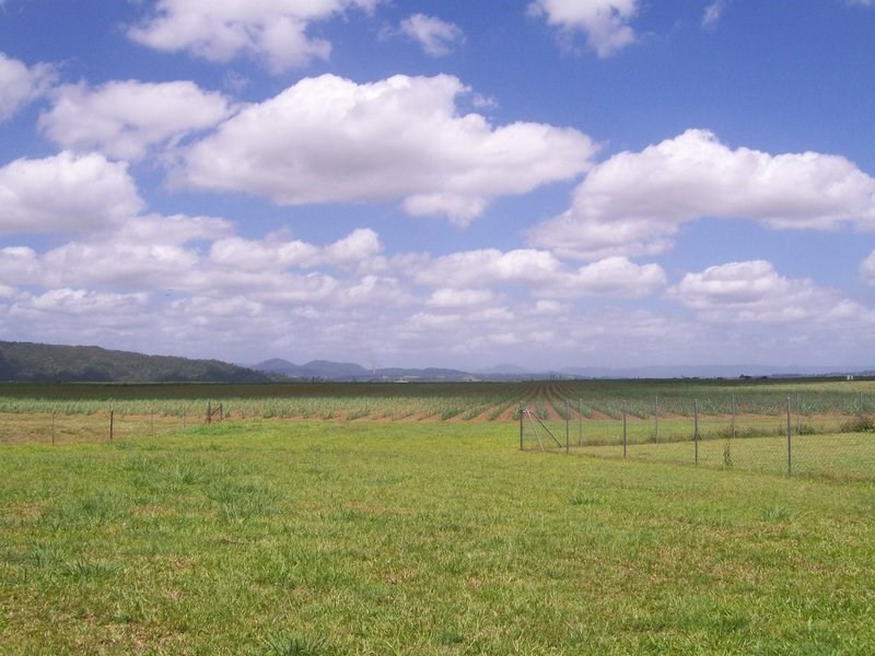 64 Martyville Rd, Martyville, Innisfail QLD 4860