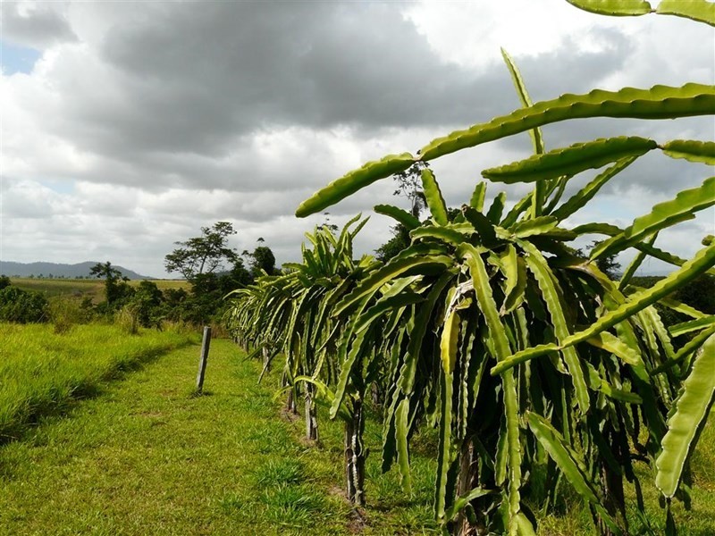 Lot 2 Camp Creek Road, Camp Creek QLD 4871