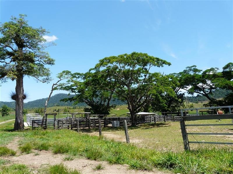 836 Mena Creek, Mena Creek QLD 4871