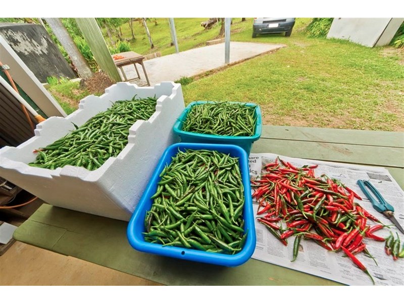 10 Fishers Creek, Coorumba QLD 4860