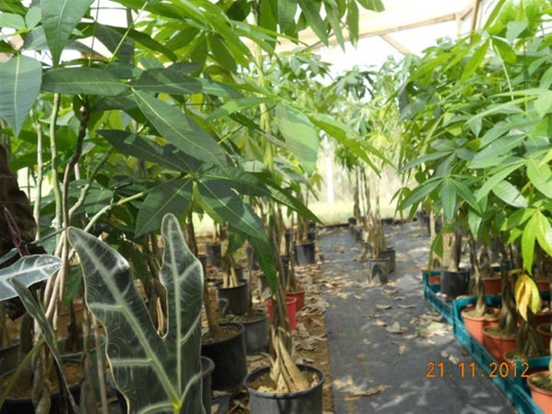 10 Fishers Creek, Coorumba QLD 4860