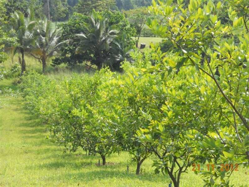 10 Fishers Creek, Coorumba QLD 4860