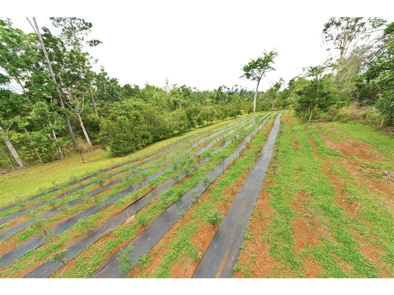 10 Fishers Creek, Coorumba QLD 4860