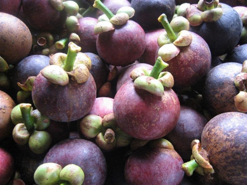 10 Fishers Creek, Coorumba QLD 4860