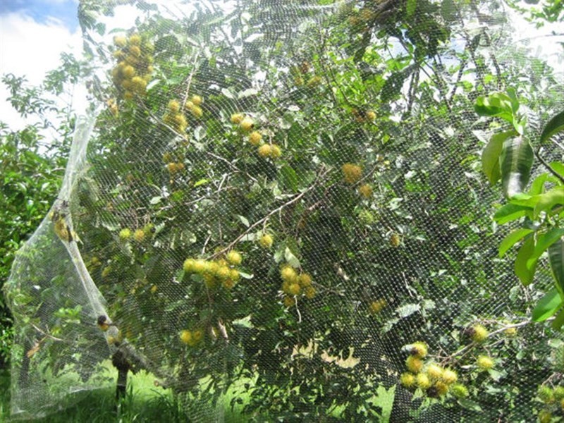 10 Fishers Creek, Coorumba QLD 4860