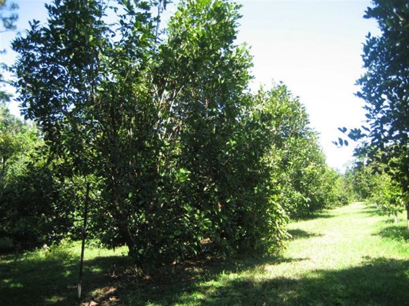 10 Fishers Creek, Coorumba QLD 4860