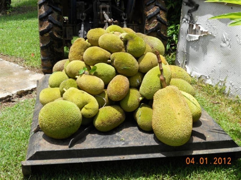 10 Fishers Creek, Coorumba QLD 4860