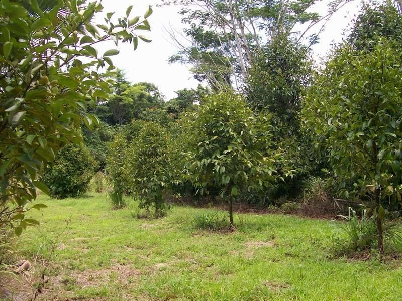 Eubenangee QLD 4860