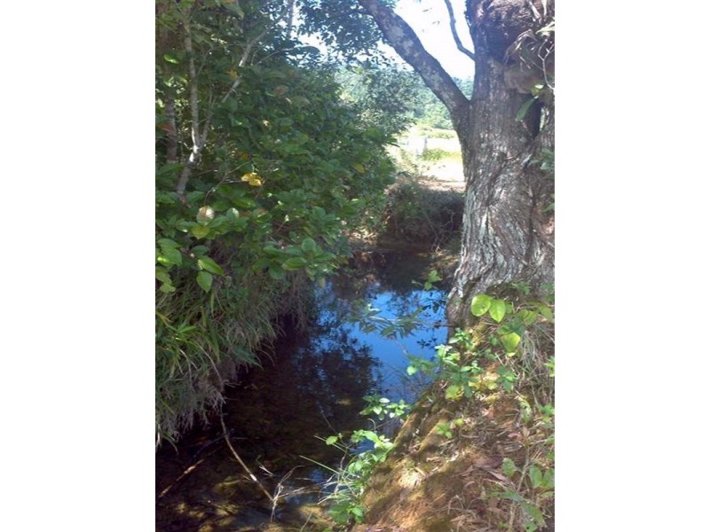 Lot 3 Buttigieg Road, East Russell QLD 4861