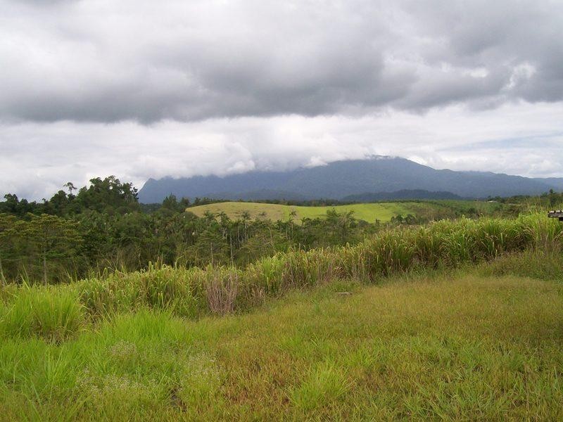 66060 Bruce Highway, Waughs Pocket, Innisfail QLD 4860