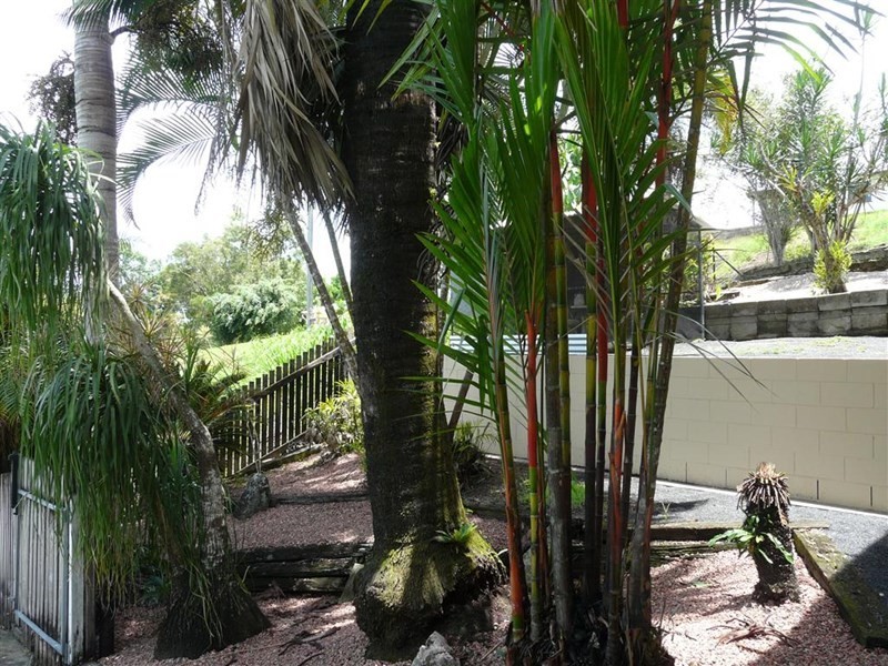 29 Heavey Street, East Innisfail QLD 4860