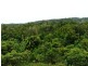 Lot 63 Greendale Court, Jubilee Heights QLD 4860