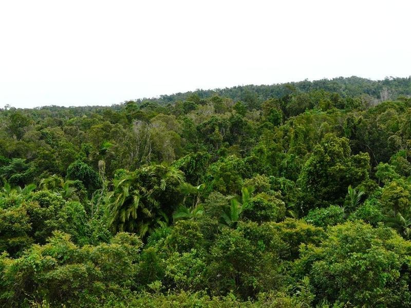 Lot 63 Greendale Court, Jubilee Heights QLD 4860