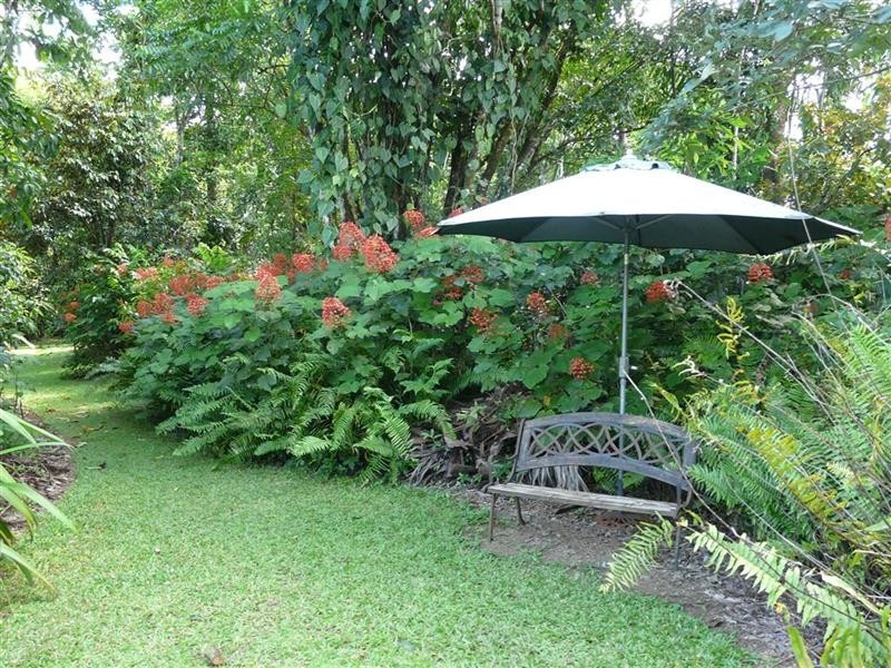 1 Josephine Falls, Bartle Frere QLD 4861