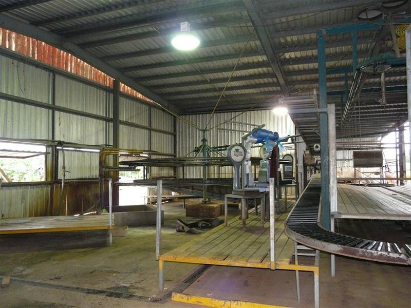 338 Jubilee Road, Daradgee QLD 4860