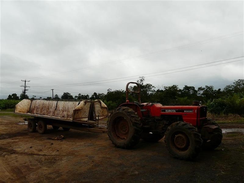 338 Jubilee Road, Daradgee QLD 4860