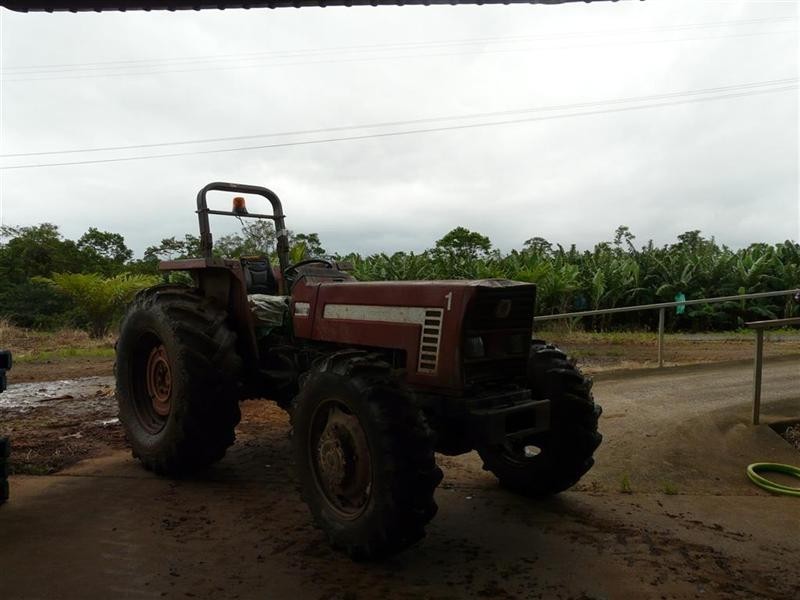 338 Jubilee Road, Daradgee QLD 4860