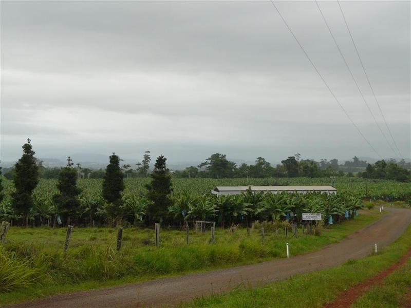 338 Jubilee Road, Daradgee QLD 4860