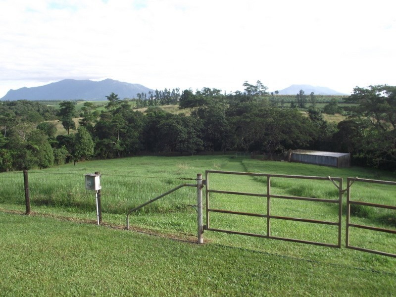 52 Elstob Road, Fitzgerald Creek QLD 4860