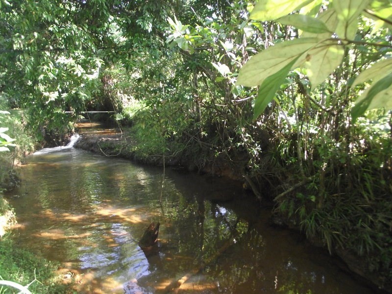 52 Elstob Road, Fitzgerald Creek QLD 4860