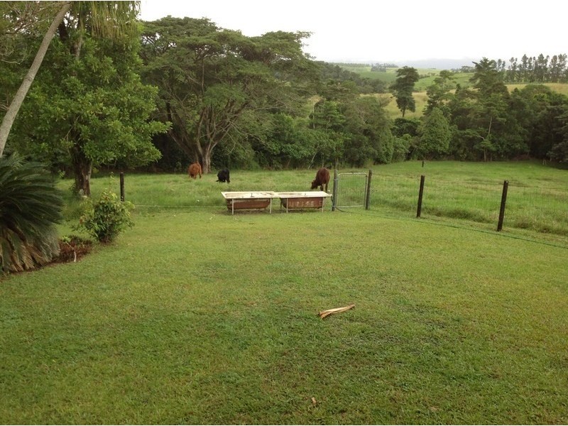 52 Elstob Road, Fitzgerald Creek QLD 4860