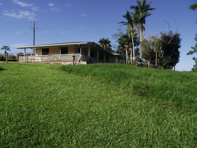 52 Elstob Road, Fitzgerald Creek QLD 4860