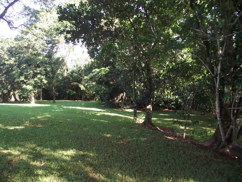 52 Elstob Road, Fitzgerald Creek QLD 4860