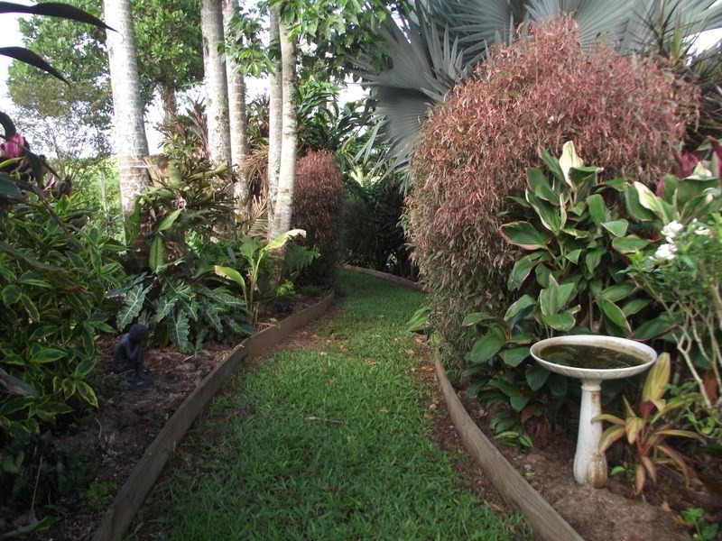 52 Elstob Road, Fitzgerald Creek QLD 4860