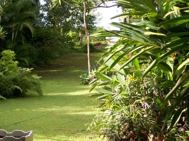 74 Evans Road, Bramston Beach QLD 4871