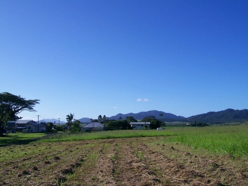 Lot 60 McAvoy Street, Daradgee QLD 4860