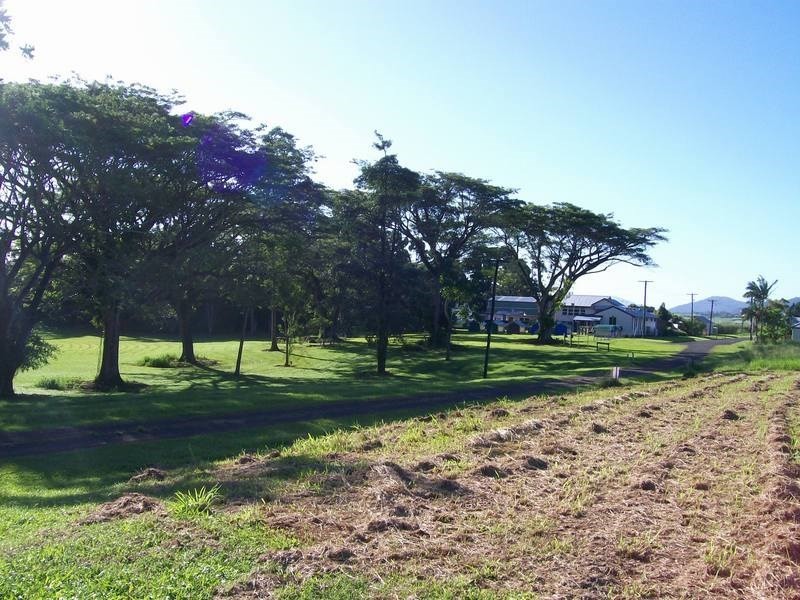 Lot 60 McAvoy Street, Daradgee QLD 4860
