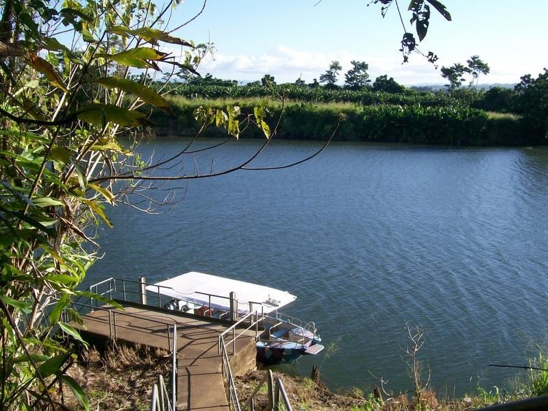 Lot 60 McAvoy Street, Daradgee QLD 4860