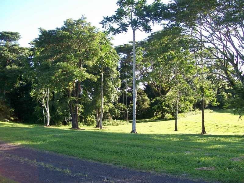 Lot 60 McAvoy Street, Daradgee QLD 4860