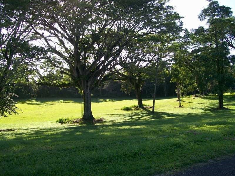 Lot 60 McAvoy Street, Daradgee QLD 4860