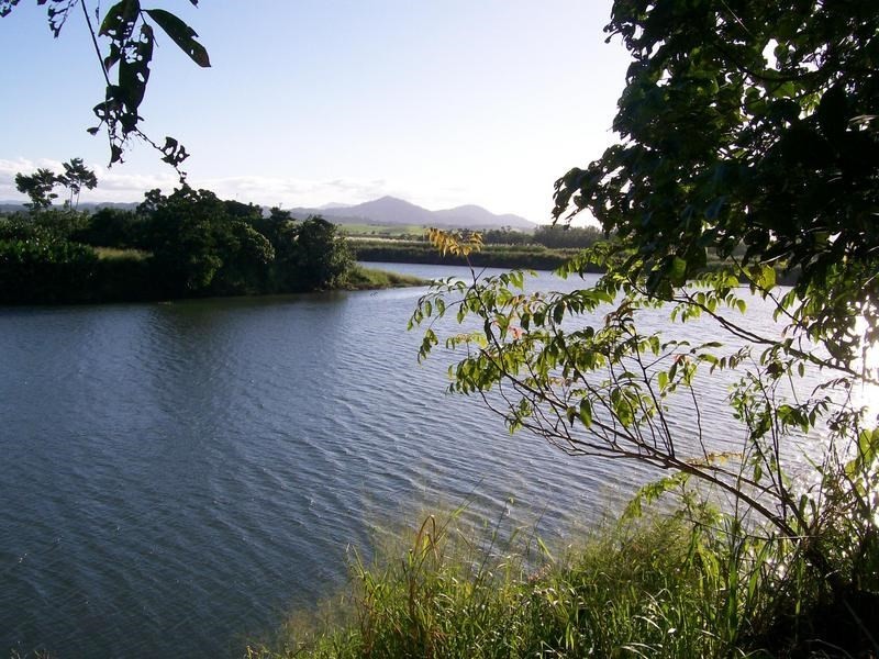 Lot 60 McAvoy Street, Daradgee QLD 4860