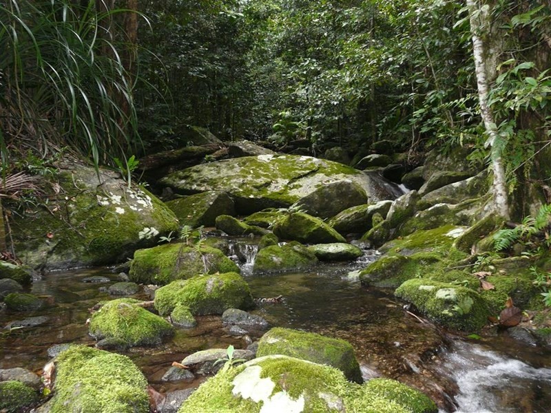 634 Kruckow Road, East Russell QLD 4861