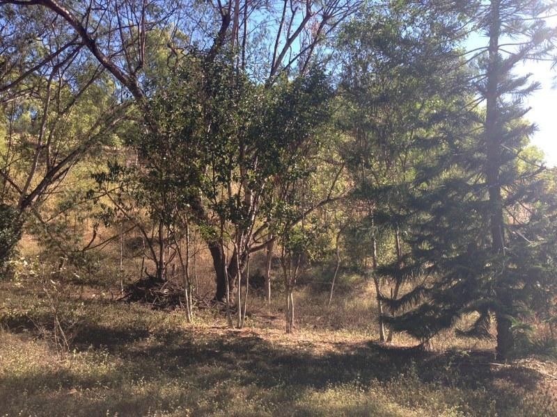 82a Alligator Creek Road, Alligator Creek QLD 4816