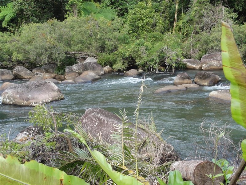 4555 Palmerston Highway, Millaa Millaa QLD 4886